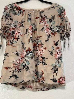Blousology Beige Floral Chiffon Tie-Sleeve Sheer Short Sleeve Blouse M